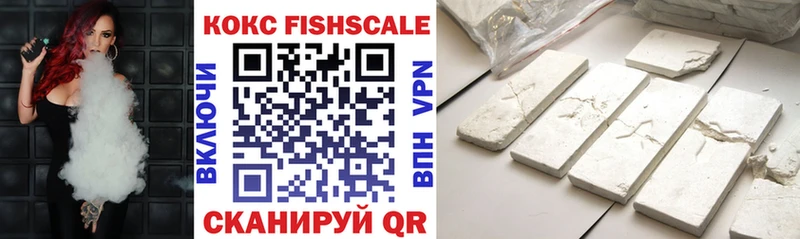 COCAIN Fish Scale  Салехард 